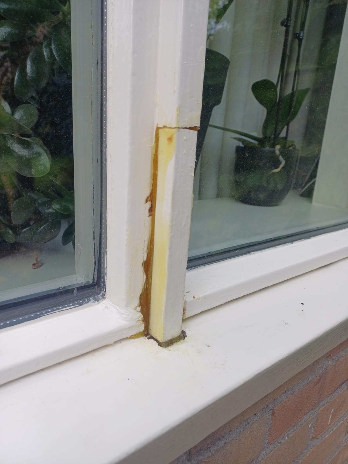 Stap 2: hersteld met reparatiemiddel